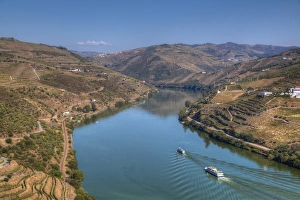 Viniculture Prints: Tourist boats, vineyards and the Douro River