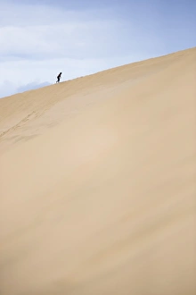 Northland Prints: Tourist climbing Te Paki Sand Dunes on 90 Mile Beach, Northland, North Island, New Zealand