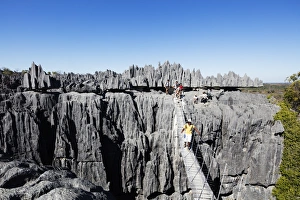 Rope Bridge Prints: Tourist crossing a rope bride, Grand Tsingy, Tsingy du Bemaraha National Park, UNESCO
