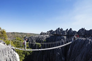 Rope Bridge Prints: Tourist crossing a rope bridge, Grand Tsingy, Tsingy du Bemaraha National Park, UNESCO