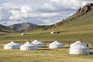 Mongolian Prints: Tourist ger camp and Khangai mountains, Burentogtokh district, Hovsgol province, Mongolia