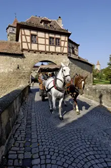 Rothenburg Prints: Tourist horse and carriage passing through the Rodertor (Roder Gate)