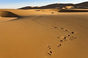Absence Prints: Tourist on sand dunes near Swakopmund, Dorob National Park, Namibia, Africa