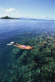 Snorkelling Prints: Tourist snorkelling in Marovo Lagoon