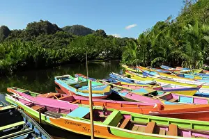 Reflect Prints: Tourist tour boats moored on the Pute River in this karst limestone region