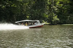 Costa Rican Prints: Tourist transport to the eco lodges in Tortuguero National Park, Costa Rica