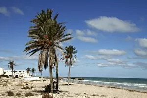 Images Dated 25th October 2010: Tourist zone beaches on the Mediterranean coast, Djerba, Tunisia, North Africa, Africa