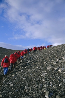 South Pole Prints: Tourists ascending recent volcanic cone, Penguin Island, South Shetland Islands