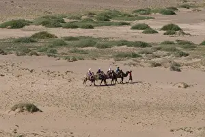 Khongoryn Els Prints: Tourists on Bactrian camel train cross sandy landscape, elevated view in summer