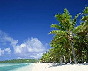 Aitutaki Prints: Tourists on the beach at Aitutaki in the Cook Islands, Polynesia, Pacific Islands