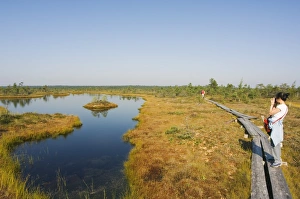 Marshes Prints: Tourists on boardwalk trail through protected land