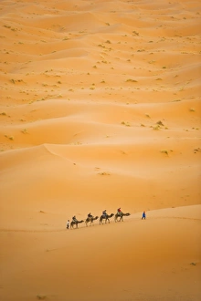 Erg Chebbi Prints: Tourists on a camel ride in Erg Chebbi Desert