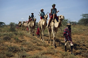 Samburu Prints: Tourists on camels