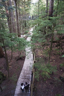 Images Dated 13th April 2009: Tourists in Capilano Suspension Bridge and Park, Vancouver, British Columbia