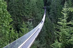 Connection Gallery: Tourists in Capilano Suspension Bridge and Park, Vancouver, British Columbia