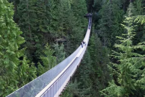 Images Dated 13th April 2009: Tourists in Capilano Suspension Bridge and Park, Vancouver, British Columbia