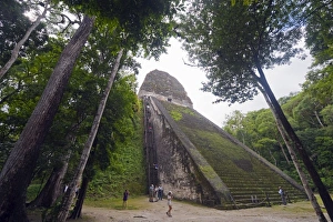 Ancient Ruins Prints: Tourists climbing a pyramid in the forest, Mayan ruins, Tikal, UNESCO World Heritage Site