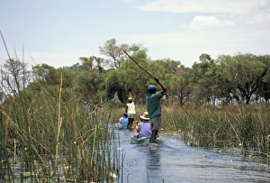 Tourists in dug out canoe (mokoro), Okavango Delta, Botswana, Africa
