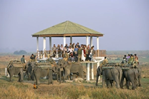 Assam Prints: Tourists on elephant back safari