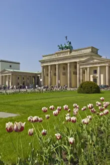 Pariser Platz Prints: Tourists enjoying spring sunshine in the tulip filled gardens at the Brandenburg Gate with the Quadriga winged victory