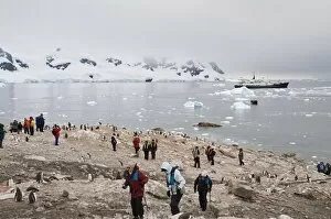 Tourists and gentoo penguins, Neko Harbour, Antarctic Peninsula, Antarctica