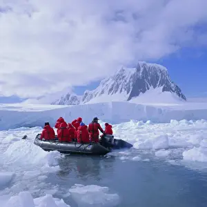 Cruise Prints: Tourists ice cruising in rigid inflatable boat approaching crabeater seal, Antarctica