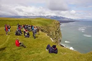 Sea Cliffs Prints: Tourists looking the colonies of puffins nests in the cliffs of Vik, Iceland