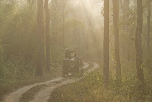 Dirt Track Prints: Tourists on morning safari, Kanha, Madhya Pradesh, India, Asia