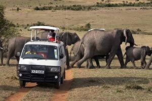 Tourists on safari watch a herd of elephants in the Masai Mara National Reserve