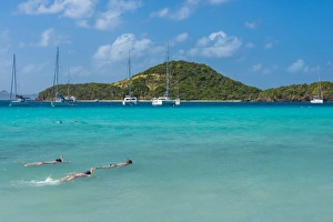 Windward Islands Prints: Tourists snorkeling in the turquoise waters of the Tobago Cays