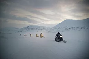 Holiday Makers Gallery: Tourists on snowmobiles (skidoos) near Barentsburg, Svalbard, Arctic, Norway, Scandinavia, Europe