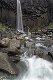 South Area Prints: Tourists at Svartifoss waterfall