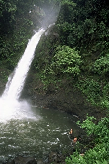 La Paz Prints: Tourists swimming in falls, La Paz waterfall, near Magia Blanca Nature Reserve