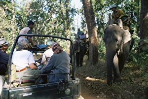 Jeep Prints: Tourists tiger spotting
