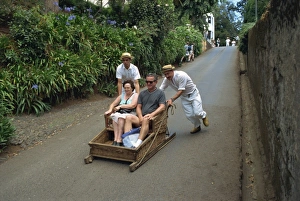 Sled Prints: Tourists on toboggan riding down the hill at Monte