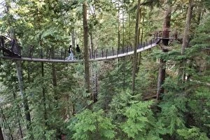 Images Dated 13th April 2009: Tourists on a treetop walkway in Capilano Suspension Bridge and Park, Vancouver
