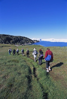 Back Pack Prints: Tourists walking towards the icefjord at Sermermiut