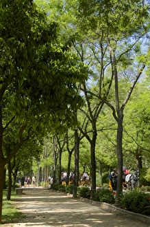 Maria Luisa Park Prints: Tourists walking across Maria Luisa Park