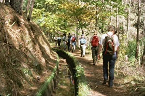 Walker Prints: Tourists walking between Ribeira Brava and Estreito