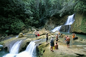 St Elizabeth Prints: Tourists at YS Falls, St