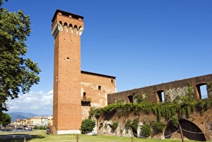 Images Dated 4th July 2008: The Tower of the Citadel, Pisa, Tuscany, Italy, Europe