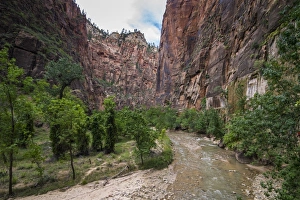 Towering Prints: The towering cliffs of the Narrows in Zion National Park