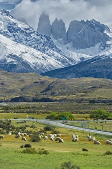 Chilean Prints: The Three Towers, Torres del Paine National Park, Chilean Patagonia, Chile, South America