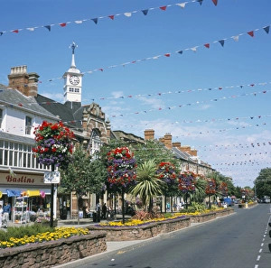 Hanging Basket Prints: Town Hall and town in Britain in Bloom competition, Minehead, Somerset