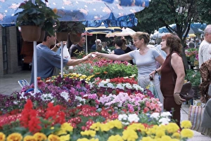 Flower Stall Prints: Town market