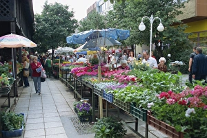 Town market