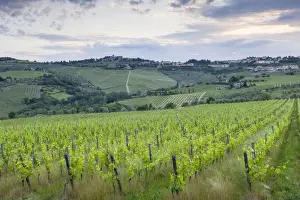 Chianti Prints: The town of Panzano in Chianti
