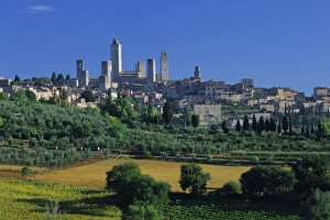 Belfry Prints: The town of San Gimignano