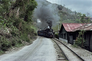 Approaching Prints: Toy Train en route for Darjeeling