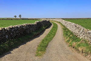 Track Prints: Track disappears into distance, between dry stone walls, a typical country scene